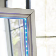 Evesen Floor Standing Mirror/Storage - Furniture City (CA)l
