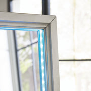 Evesen Floor Standing Mirror/Storage - Furniture City (CA)l