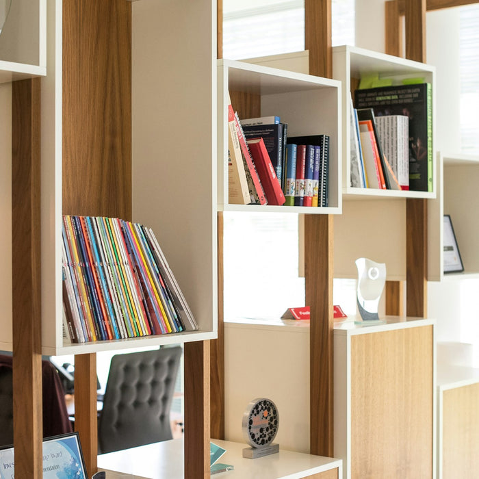 Maximize Your Home’s Storage: Cabinets, Bookcases, and Storage Trunks