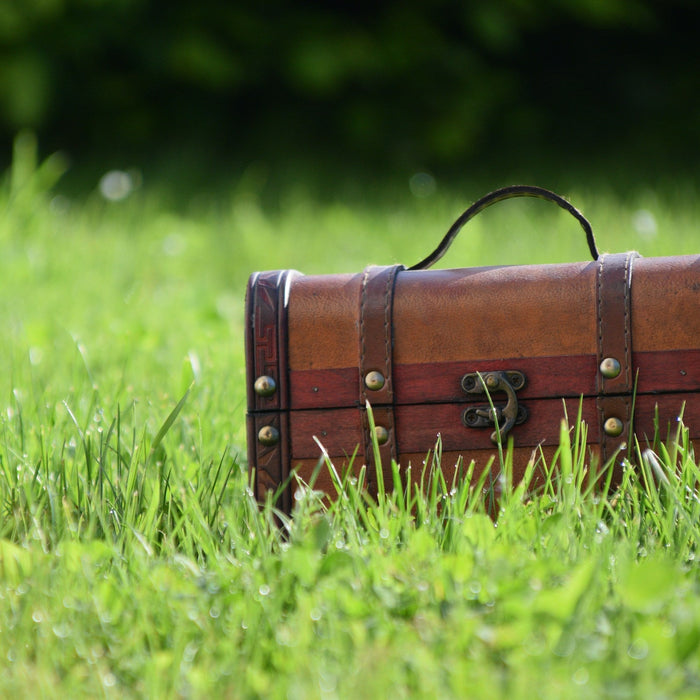 Smart Storage Made Stylish: Bookcases, Storage Trunks & Sleeper Sofas