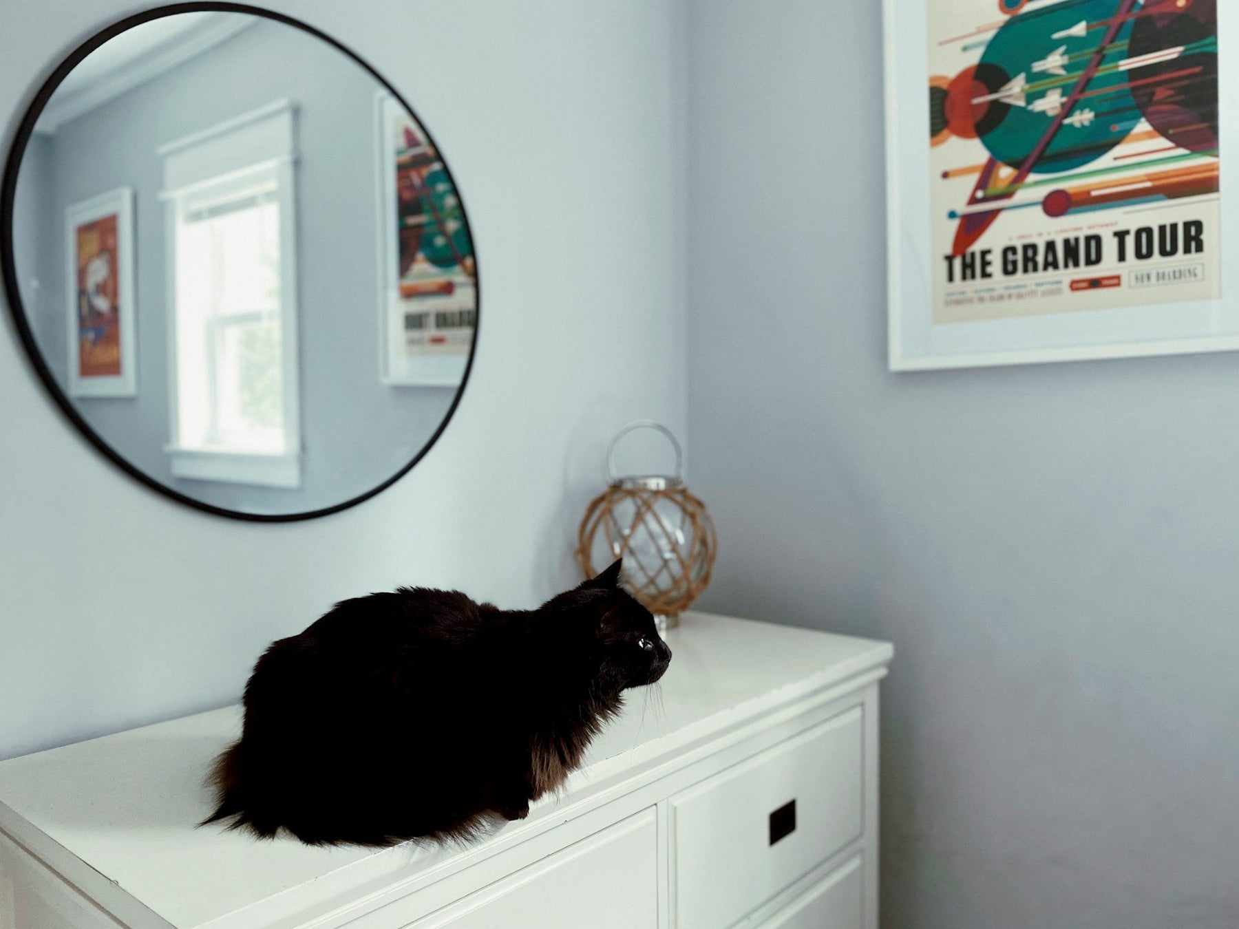 Pet-Friendly Furniture That Doesn’t Sacrifice Style