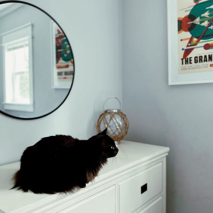 Pet-Friendly Furniture That Doesn’t Sacrifice Style