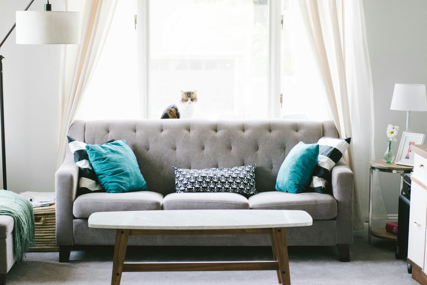 Elevate Your Living Room: Choosing the Perfect Sofa