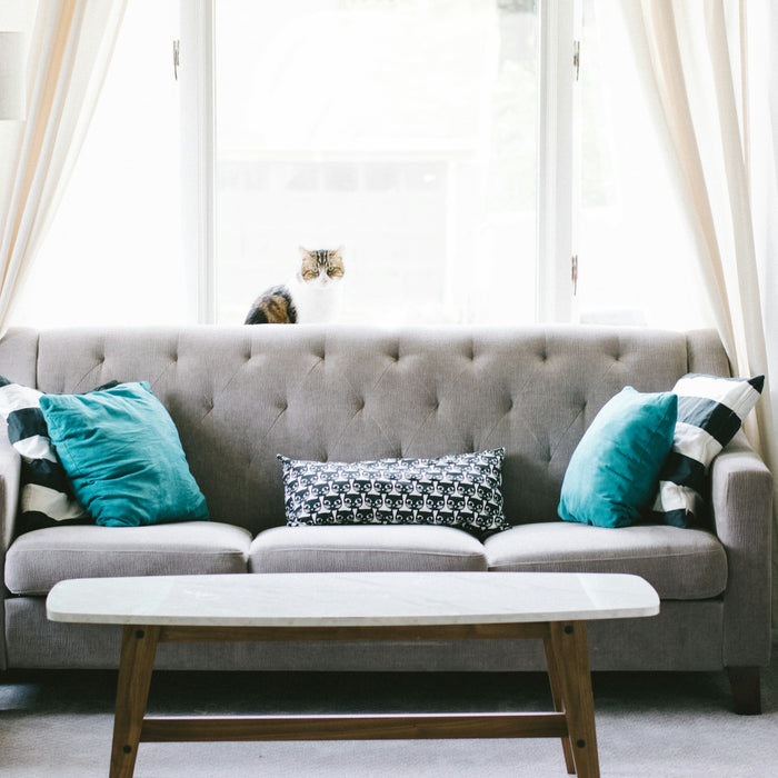 Elevate Your Living Room: Choosing the Perfect Sofa