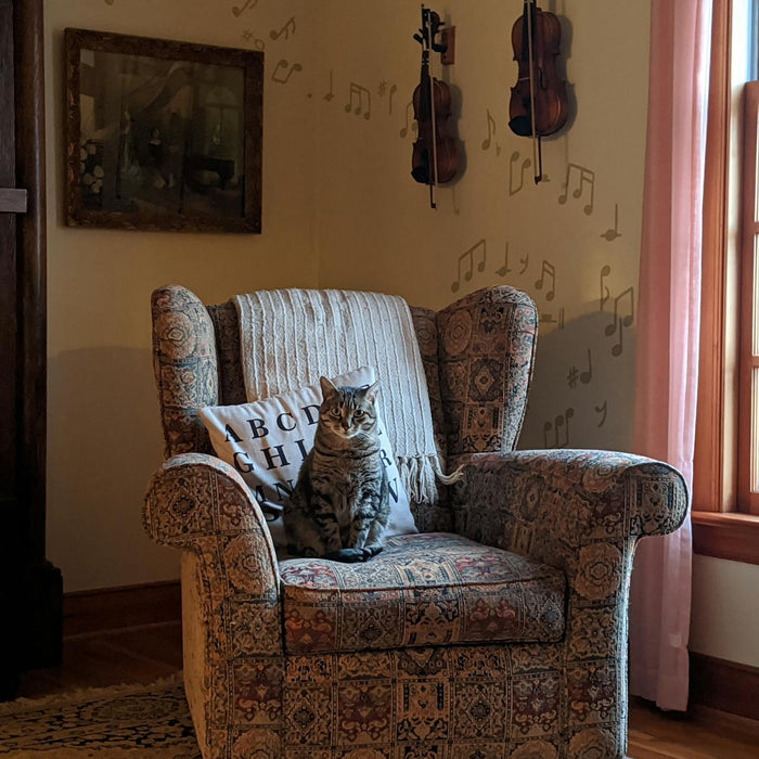 Pet-Friendly Furniture That Doesn’t Sacrifice Style