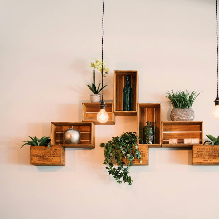 Biophilic Design: How to Blend Nature with Modern Furniture for a Healthier Home