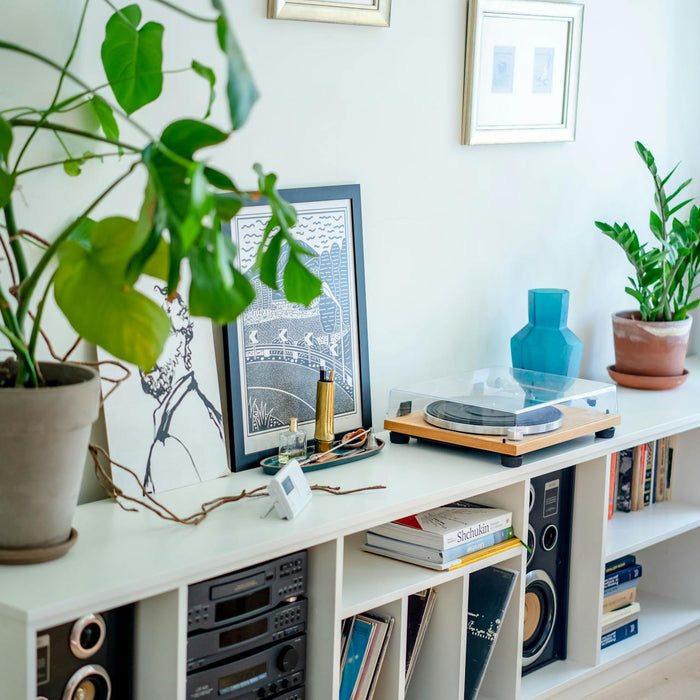 Entertainment Stations: TV Stands vs. Full Entertainment Centers