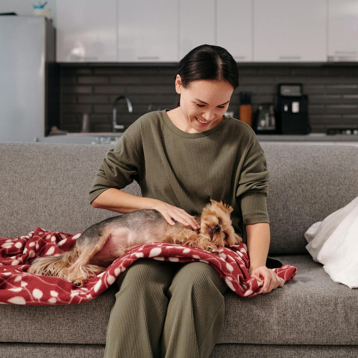 Is Authentic Leather or Premium Performance Fabric Better for Homes with Pets and Kids?