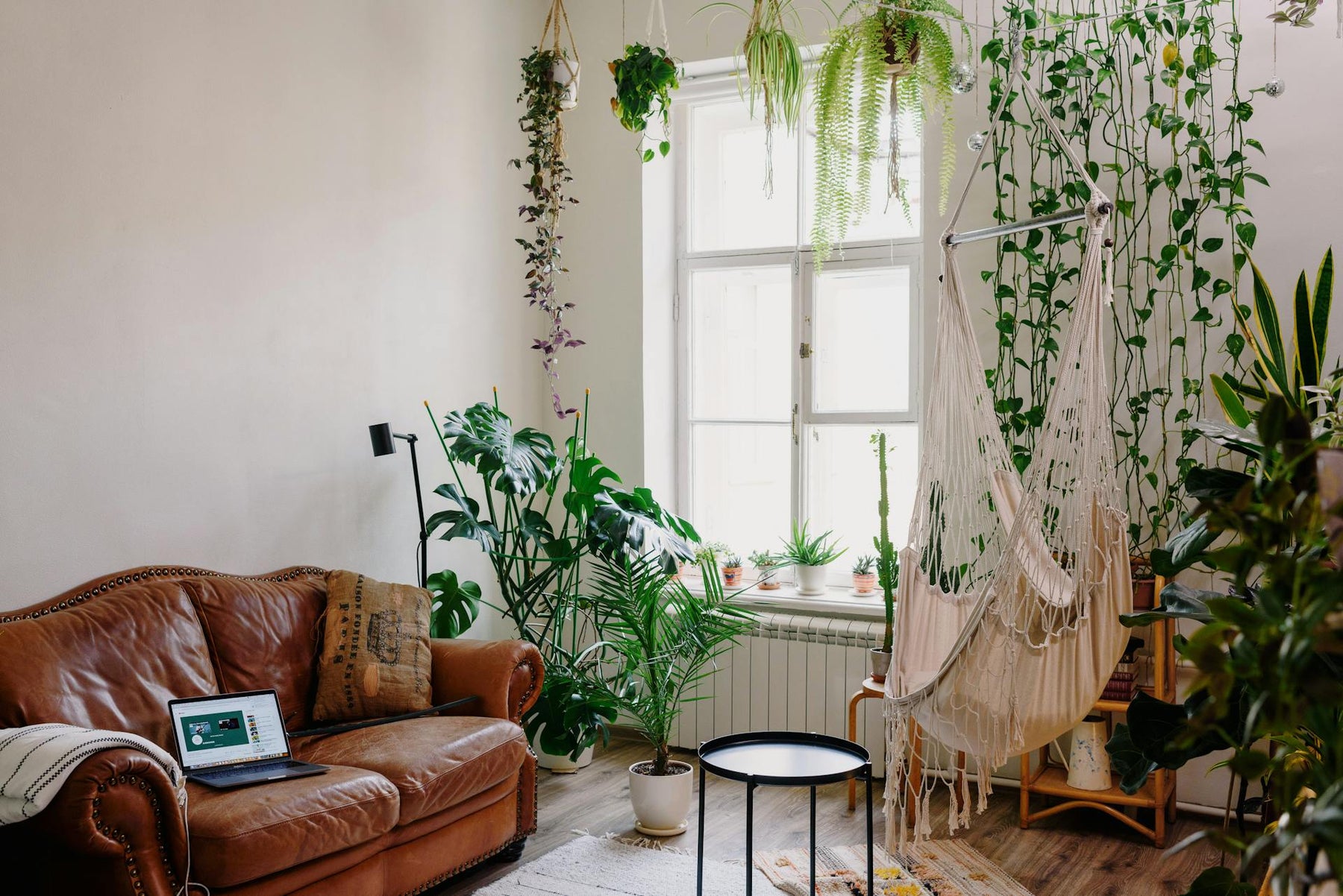 Transforming Your Home into a Sanctuary