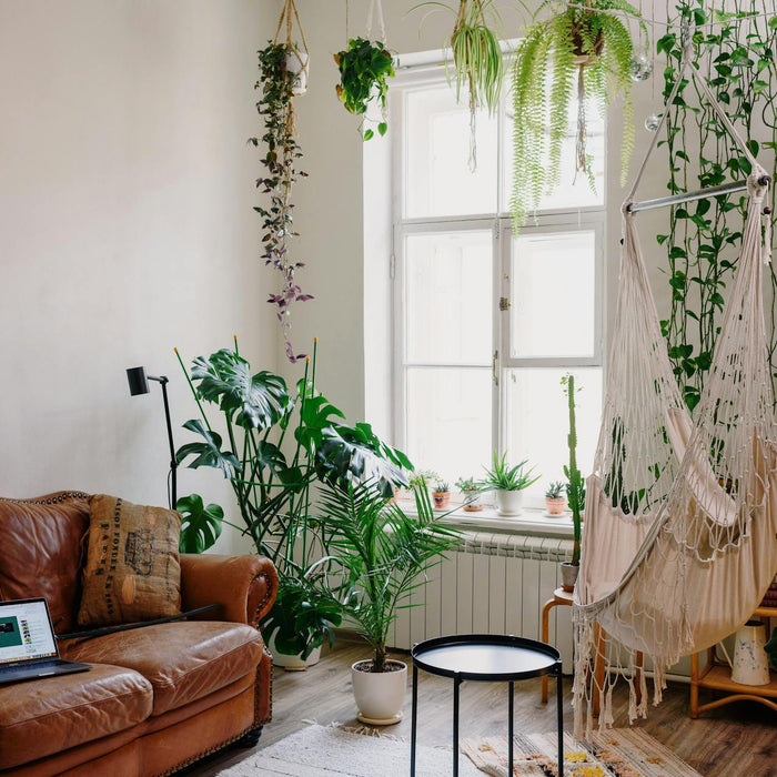 Transforming Your Home into a Sanctuary