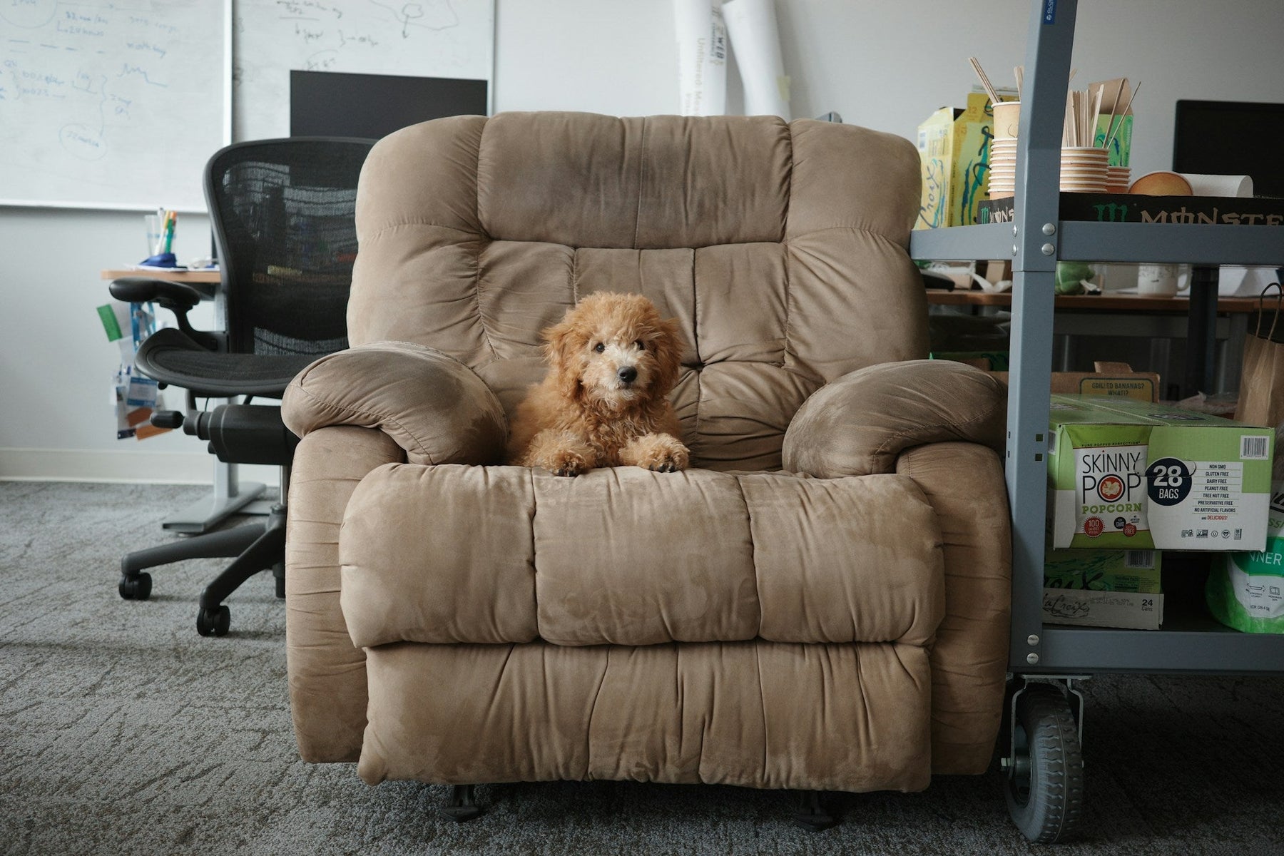 Hidden Benefits of Owning Recliners You Didn’t Know About