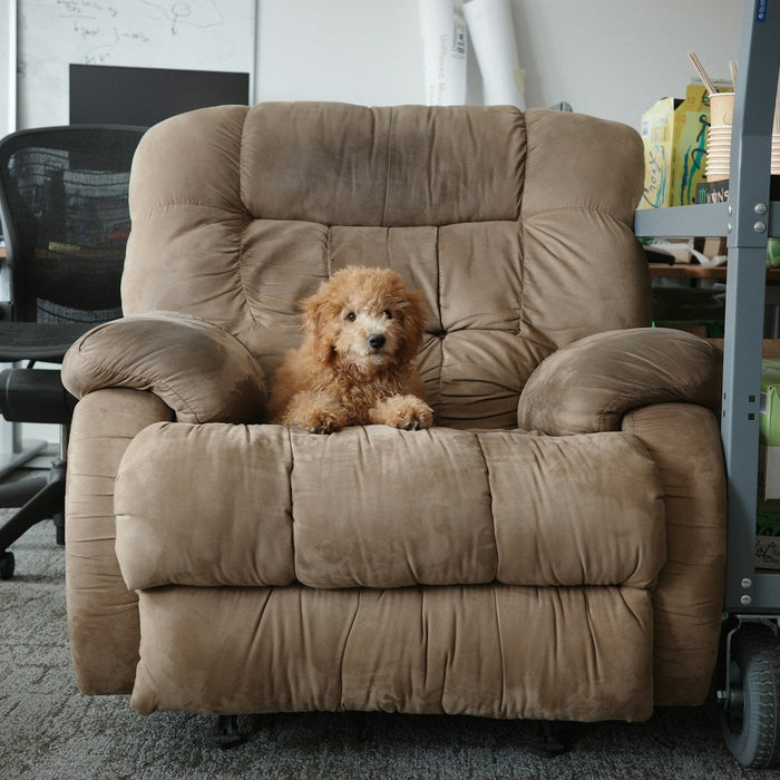 Hidden Benefits of Owning Recliners You Didn’t Know About