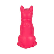 10-cool-shades-boston-terrier-pink-4