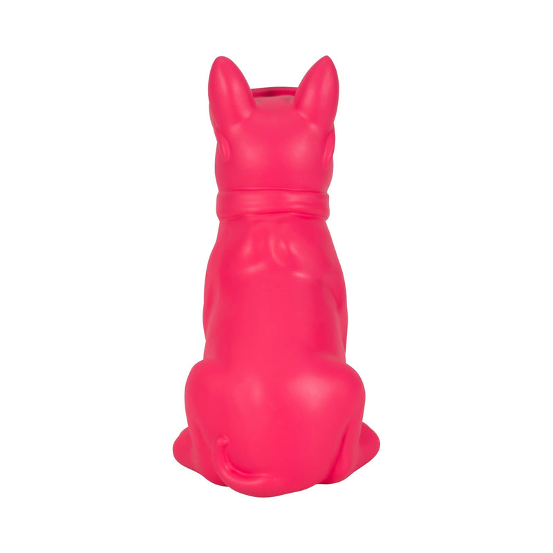10-cool-shades-boston-terrier-pink-4