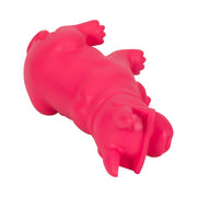 10-cool-shades-boston-terrier-pink-6
