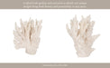 10-coral-reef-decor-white-13