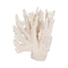 10-coral-reef-decor-white-1