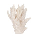 10-coral-reef-decor-white-2
