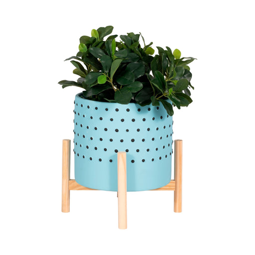 10-dotted-planter-w-wood-stand-blue-2