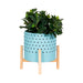 10-dotted-planter-w-wood-stand-blue-2