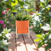 10-dotted-planter-w-wood-stand-orange-6