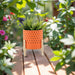 10-dotted-planter-w-wood-stand-orange-6