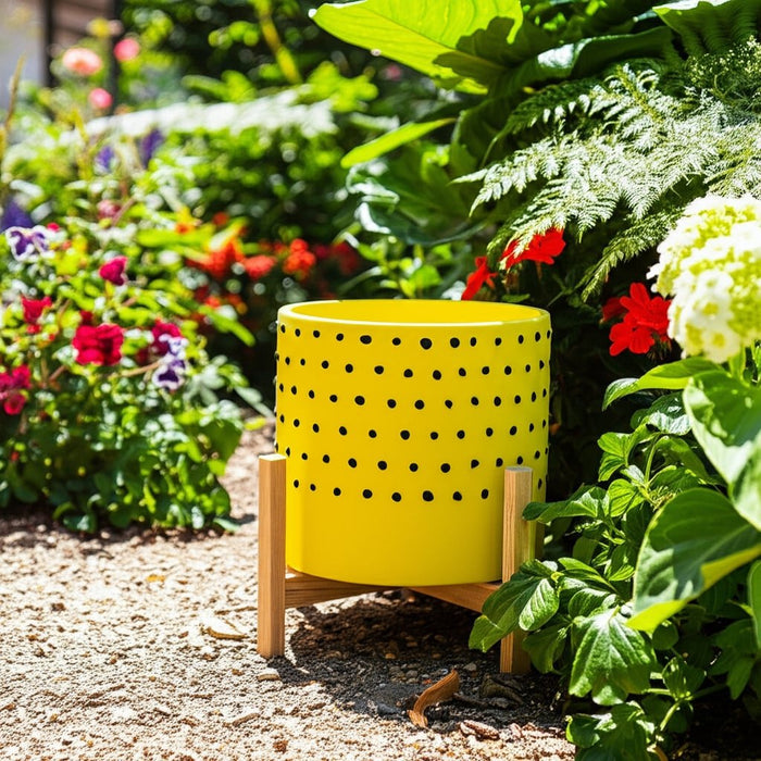 10-dotted-planter-w-wood-stand-yellow-5