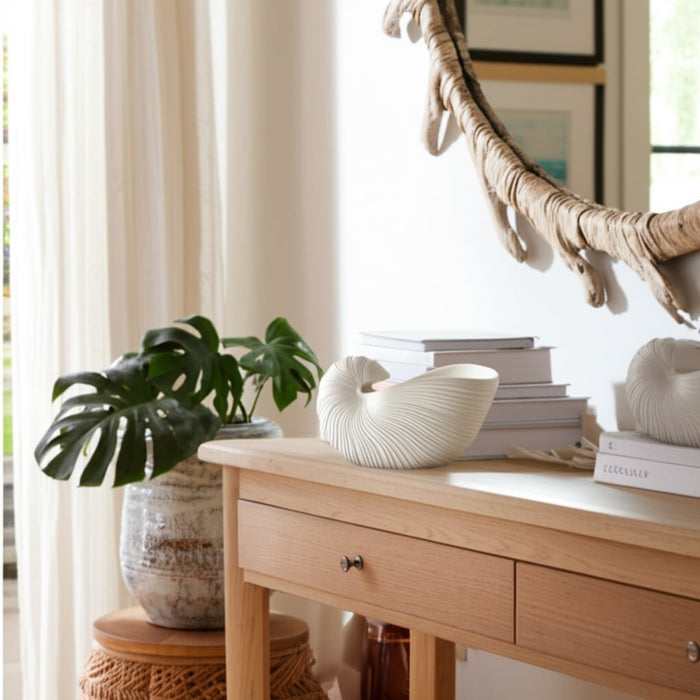 10-nautilus-shell-planter-white-12