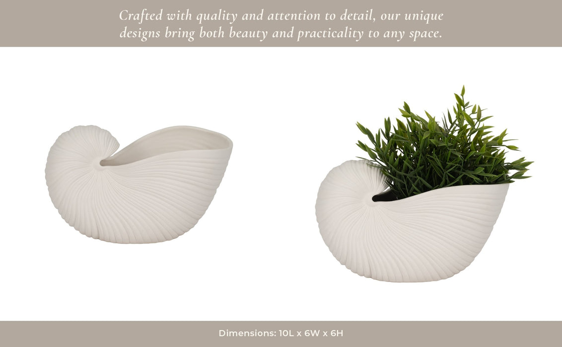 10-nautilus-shell-planter-white-14