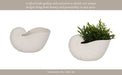10-nautilus-shell-planter-white-14