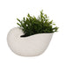 10-nautilus-shell-planter-white-2
