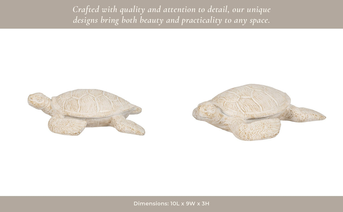 10-sea-turtle-ivory-14