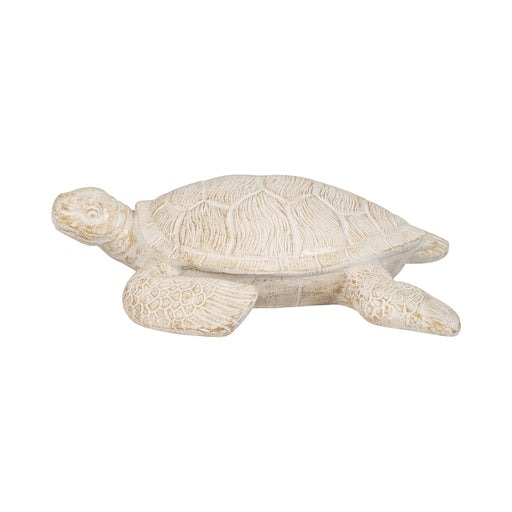 10-sea-turtle-ivory-1