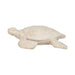 10-sea-turtle-ivory-1