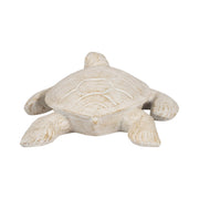 10-sea-turtle-ivory-4
