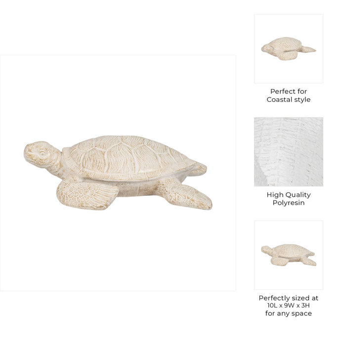 10-sea-turtle-ivory-9