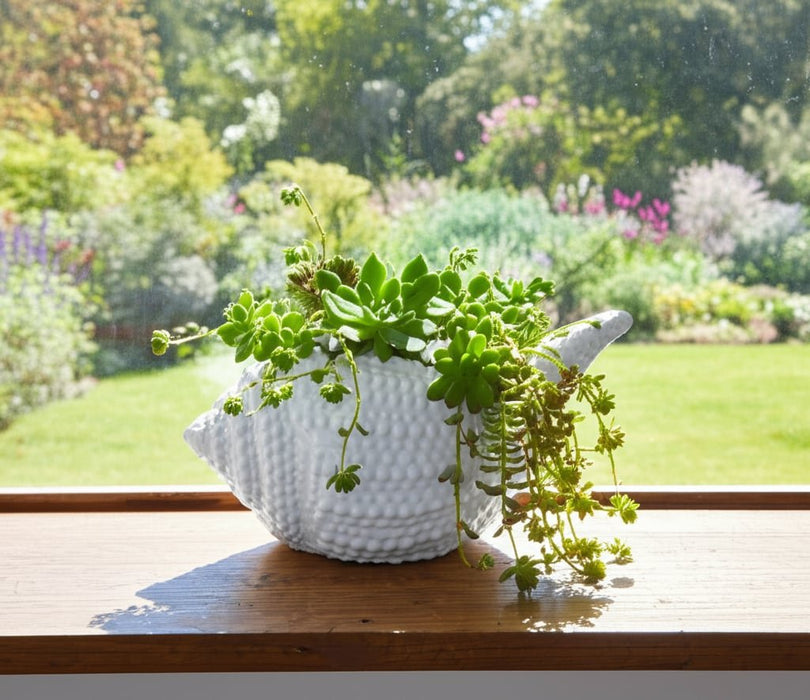 10-seashell-planter-white-10