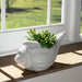 10-seashell-planter-white-11
