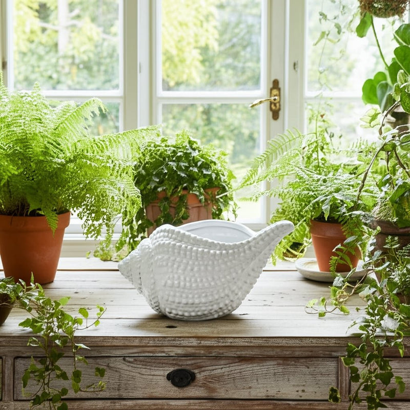 10-seashell-planter-white-12