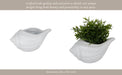 10-seashell-planter-white-13