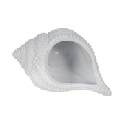 10-seashell-planter-white-6