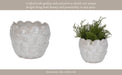 10-seashell-planter-white-6