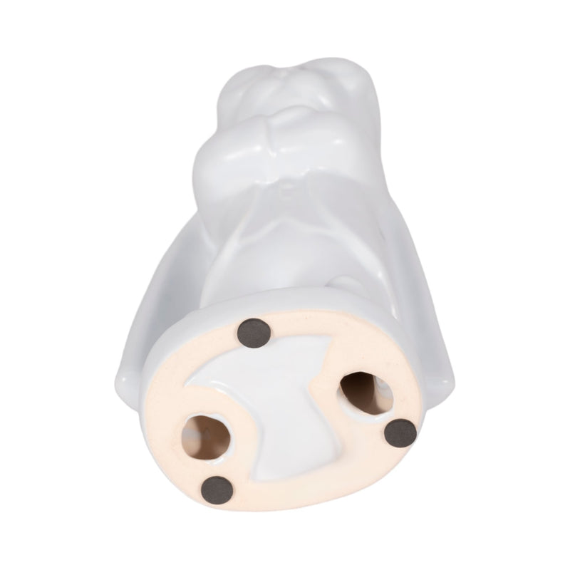 10-super-dog-white-7
