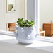 10-tapered-bubble-planter-white-12