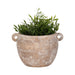 10-textured-stoneware-jug-planter-ivory-2