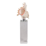 10x2-shell-on-crystal-base-ivory-clear-1