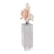 10x2-shell-on-crystal-base-ivory-clear-2