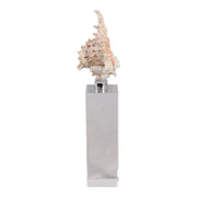 10x2-shell-on-crystal-base-ivory-clear-3