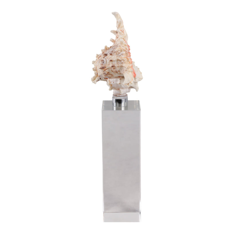 10x2-shell-on-crystal-base-ivory-clear-3