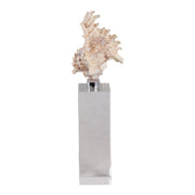10x2-shell-on-crystal-base-ivory-clear-4